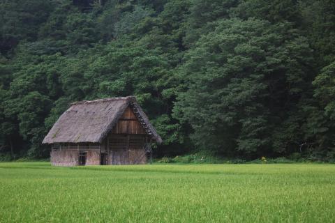 日本で田舎の人口が激減して過疎化が加速！田舎の情報しか持たないと格差社会で下層になる事実